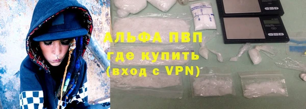 стафф Новокубанск