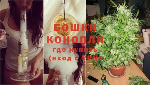 2c-b Елизово