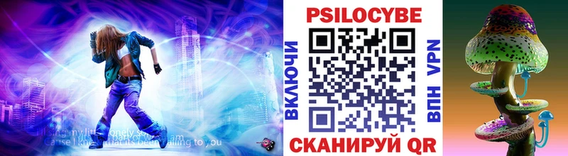 darknet клад  Богучар  Псилоцибиновые грибы Psilocybe 